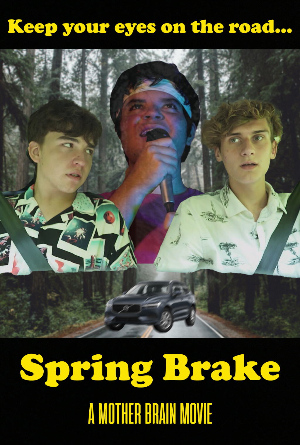 Filmposter for Spring Brake